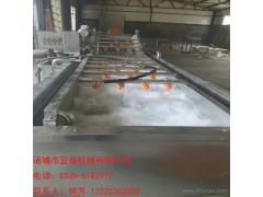 宜福蔬菜清洗機 辣椒清洗機 全自動蔬菜清洗機 果蔬清洗機廠家