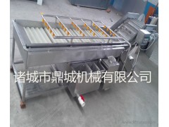 蘿卜清洗機  蘿卜清洗機廠家  蔬菜清洗機