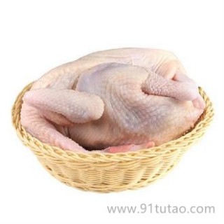 天農 鳳中皇月子雞原種清遠雞鳳中凰月子雞 800g/只