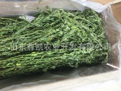 2018烘干紫花苜蓿草/龍貓兔糧/通用磨牙零食包裝升級寵物豬糧食