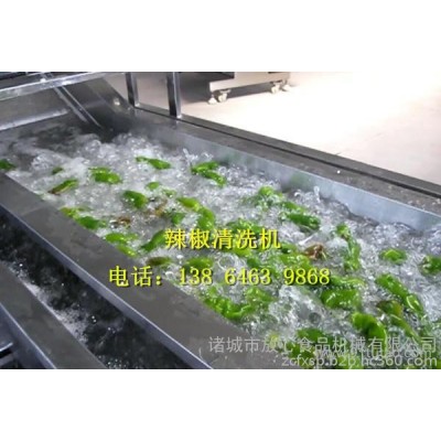 臭氧殺菌蔬菜清洗機(jī)放心食品機(jī)械專業(yè)生產(chǎn)材質(zhì)不銹鋼SUS304