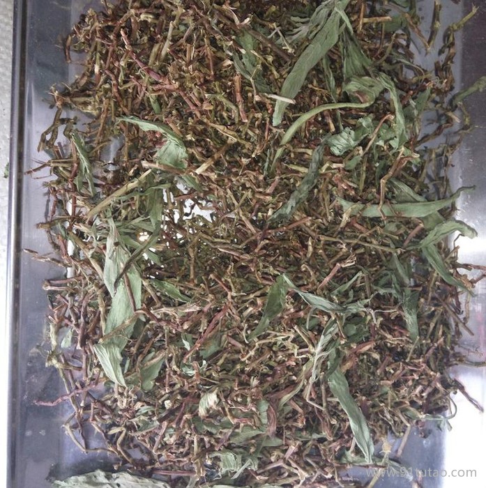 山密草 長壽茶  長壽茶  百花草益壽茶  茶梗 產地直銷