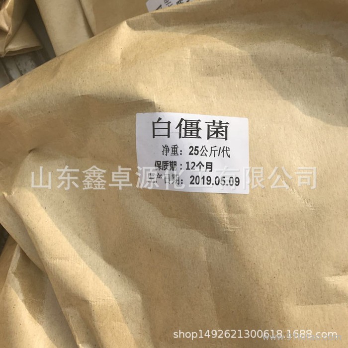 山東鑫卓源 白僵菌 微生物菌種 農業用100億百僵菌 批發零售價格