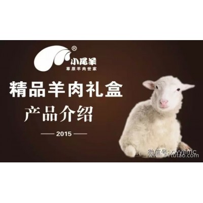 內蒙古小尾羊精致羊肉禮盒3kg臻羔肉卷禮盒