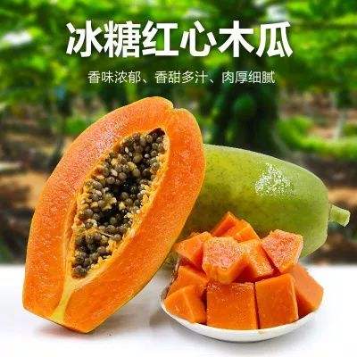 雷州冰糖木瓜 廣東特產(chǎn)當(dāng)季青皮紅心牛奶木瓜3-4個(gè)裝 新鮮水果現(xiàn)摘